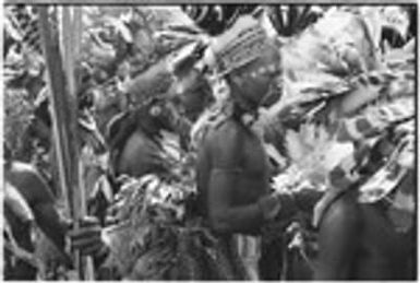 Pig festival, singsing, Kwiop: decorated men with feather headdresses dance with kundu drums