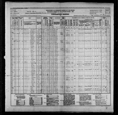 1940 Census Population Schedules - Hawaii - Maui County - ED 5-28