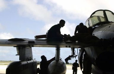 Mechanics work on an EA6B Prowler from the Marine Tactical Electronic Warfare Squadron 2 (VMAQ-2) at Marine Corps Air Station, Iwakuni, Japan in support of Exercise COPE NORTH 2002, on Andersen Air Force Base (AFB), Guam