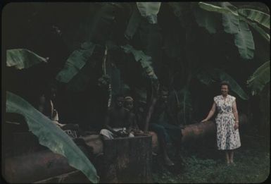 Old gun in banana garden : Rabaul, New Britain, Papua New Guinea, 1960-1961 / Terence and Margaret Spencer