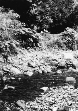 landscape, tree, forest, man, mountain, stream, human, boulder, shrubs, stones, photography,