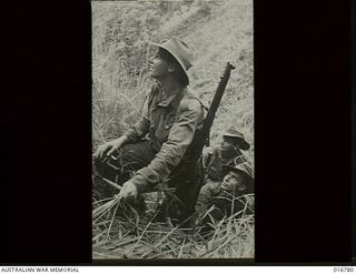 Upper Ramu Valley, New Guinea. 31 March 1944. Australian troops on their way up a 200 feet sheer cliff in the Finisterre Ranges are Private (Pte) H. Flett of Brunswick, Vic, Pte W. Findlay of ..