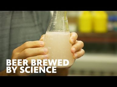 How a Lab Project Turned into a Beer Business