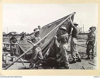 WEWAK POINT, NEW GUINEA. 1945-08-29. MEMBERS OF NO. 7 PLATOON, D COMPANY, 2/8 INFANTRY BATTALION, ERECTING TENT FLYS OVER THE COMPANY MESS HUT