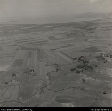 Aerial views of fields and crops