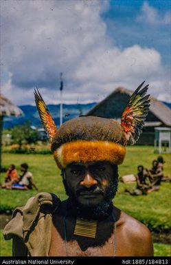 Mt Hagen - Hagen man, cuscus fur and parrot wings