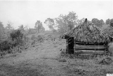 ["hus, träd, landskap, by, fotografi, photograph"]