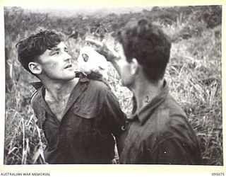 KIARIVU, NEW GUINEA, 1945-08-06. CPL J.K. DEMPSEY (1) AND SGT B. O'BRIEN (2), MEMBERS OF 2/7 INFANTRY BATTALION WITH WAHPI, A COCKATOO THEY REARED DURING THEIR ADVANCE THROUGH THE TORRICELLI ..