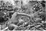 Sacrifice in shrine; Young boy