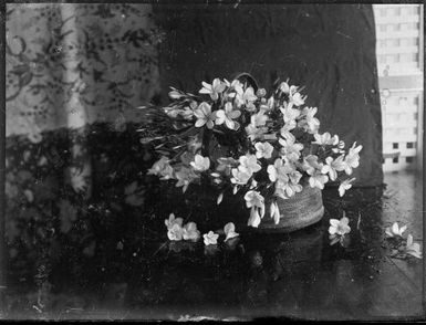 Frangipanni in a woven Buka basket, Rabaul, New Guinea, ca. 1929 / Sarah Chinnery