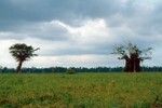 Countryside Outside Santo