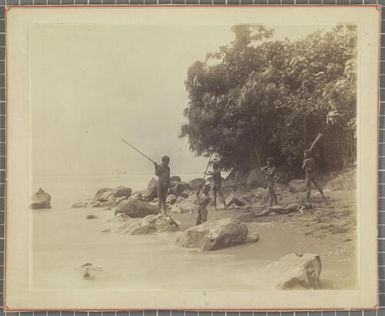 Fight, Paama, New Hebrides [Vanuatu]