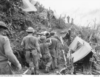 FINISTERRE RANGES, NEW GUINEA. 1944-01-23. STRETCHER BEARERS OF THE 2/9TH INFANTRY BATTALION TAKING A STRETCHER CASE FROM A FORWARD AID POST TO A REGIMENTAL AID POST DURING THE BATTLE FOR SHAGGY ..