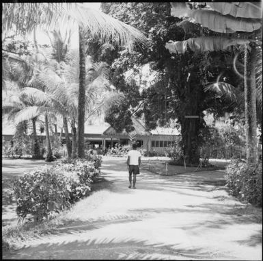 Beachcomber Island, Fiji, 1966 / Michael Terry