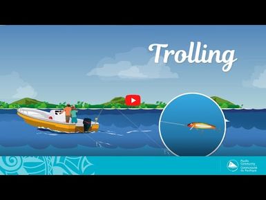 Fish and tips S1 Ep2(English) - Trolling