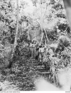 Mubo-Salamaua Area, New Guinea. 1943-07-21. Signalmen from 17th Australian Infantry Brigade, 6th Australian Division, AIF, carrying food supplies along a jungle track from an aircraft dropping zone ..