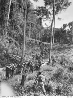 NATIVE CARRIERS AND TROOPS OF THE 2/9TH AUSTRALIAN INFANTRY BATTALION MOVING ALONG THE KOKODA TRAIL IN THE OWEN STANLEY RANGES DURING THE FILMNING OF SEQUENCES FOR THE PRODUCTION, "RATS OF TOBRUK" ..