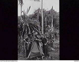WOGINARA MISSION, NEW GUINEA, 1945-04-07. MEMBERS OF 2/3RD INFANTRY BATTALION STUDYING THE SITUATION WITH A MAP ON TOP OF A "DOOVER" (MAKESHIFT SHELTER), DURING OPERATIONS IN THE TORRICELLI ..