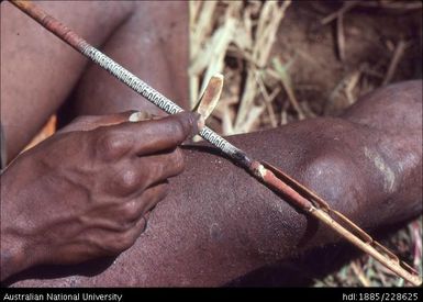 A pig tusk is used to polish the black-palm shank of an arrow to highlight the design after lime has been rubbed into the carving