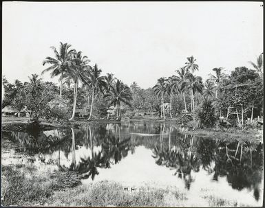 Palauli, Savai'i