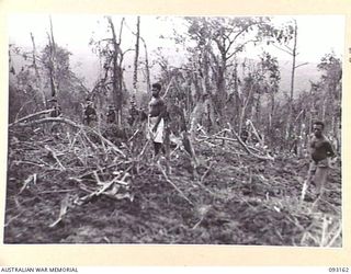 WEWAK AREA, NEW GUINEA, 1945-06-17. TROOPS OF B COMPANY, 2/8 INFANTRY BATTALION ON HILL 2 AFTER THEIR SUCCESSFUL ACTION IN CAPTURING THE POSITION. NATIVE CARRIERS ARE MOVING UP WITH SUPPLIES. ..