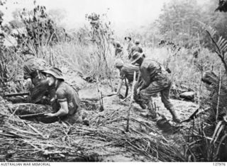 FORWARD TROOPS OF THE 2/3RD AUSTRALIAN INDEPENDENT COMPANY OCCUPYING WEAPON-PITS DURING THE ATTACK ON "TIMBERED KNOLL", NORTH OF ORODUBI, NEW GUINEA, ON 1943-07-29. (FILM STILL)