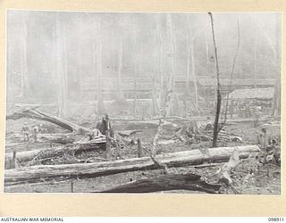 MASAMASA ISLAND, SOLOMON ISLANDS. 1945-11-14. THE CAMP LAYOUT AT JAPANESE AREA 13. JAPANESE CONCENTRATED ON THE ISLAND ARE UNDER THE CONTROL OF 7 INFANTRY BATTALION. (JOINS WITH PHOTOGRAPH NO. ..