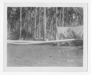 [Quartermaster Area on Guadalcanal After Shelling, No. 1]