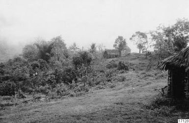 ["skog, hus, hydda, by, landskap, fotografi, photograph"]