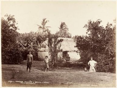 Tongan Village - Neiafu - Vavau. From the album: Views of New Zealand Scenery