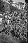 Pig festival, stake-planting, Tuguma: decorated Tsembaga men with ritual items to expel enemy spirits and establish boundary