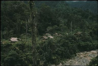 A village on the bank of the Pinei river : Bougainville Island, Papua New Guinea, April 1971 / Terence and Margaret Spencer