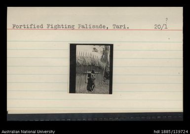 Fortified fighting Palisade, Tari