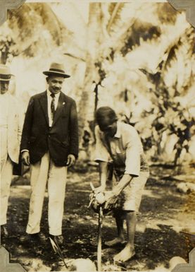 Dehusking coconuts, 1928