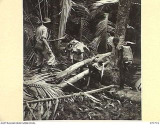 SINGORKAI - WEBER POINT AREA, NEW GUINEA, 1944-03-21. A PATROL FROM "C" PAPUAN INFANTRY BATTALION, OPERATING BETWEEN SINGORKAI AND WEBER POINT, PASSING THROUGH A SAC-SAC (SAGO PALM), SWAMP