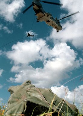 Explosive Ordnance Disposal (EOD) Mobile Unit Five, Detachment 33 personnel repel from the CH-46 Sea Knight helicopter during a training evolution at Orote Point, Guam