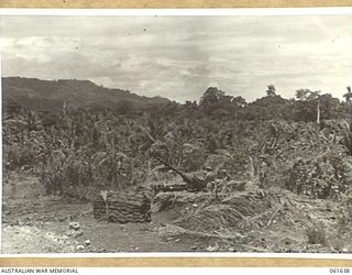 TIMBULUM PLANTATION, NEW GUINEA. 1943-12-11. A GUN POSITION APPROXIMATELY 1500 YARDS SOUTH OF KALAMGUANG POINT ON THE FRINGE OF TIMBULUM PLANTATION