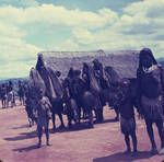 Huri people at Tari, [Papua New Guinea], 1956