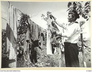 1943-09-25. NEW GUINEA. FALL OF LAE. L/CPL. L. HANN OF ADELAIDE, SA, IN A JAPANESE MARINE'S UNIFORM TAKING IN THE WASHING OF THE JAPANESE COMMANDING OFFICER. THE WASHING WAS LEFT BEHIND WHEN THE ..