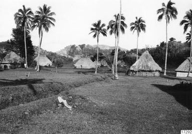 mountains, huts, trees, palm trees, people, village, lawn, forest, house, photograph, ph