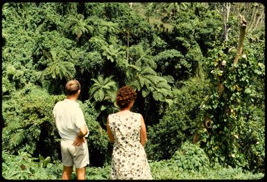 Bush on Taveuni, 1971