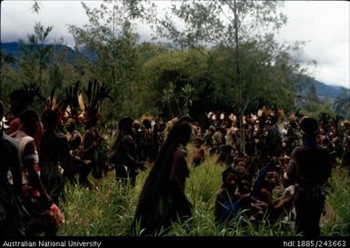 Crowd gathered wearing ceremonial head dresses