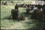 Cassowary rests on a man's lap