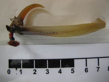 fish hook