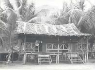 Ninth General Hospital. World War II. Goodenough Island.