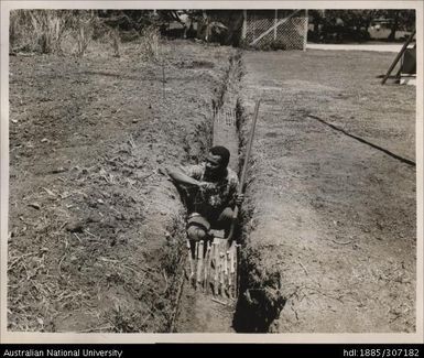 Planting cane lengths into a trench