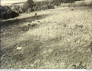 WEWAK AREA, NORTH EAST NEW GUINEA. C. 1945-06. A RAAF CAMERAMAN, IN A PROTECTING AIRCRAFT, PHOTOGRAPHED LIEUTENANT (LT) CARTER STANDING ALONGSIDE HIS PARACHUTE, WHICH HE HAD SPREAD ON THE GROUND AS ..