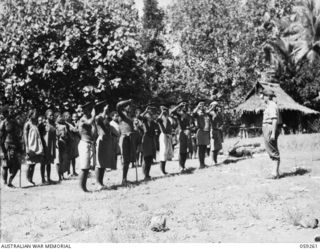 ULUGUDU, NEW GUINEA, 1943-10-23. VILLAGE OFFICIALS SALUTING NX155085 CAPTAIN R.G. ORMSBY OF THE AUSTRALIAN AND NEW GUINEA ADMINISTRATIVE UNIT