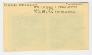 [Geissois trifoliolata in New Caledonia, envelope IE41-163]