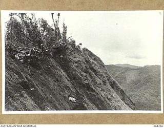 SHAGGY RIDGE, NEW GUINEA. 1944-01-23. TROOPS OF "A" COMPANY, 2/9TH INFANTRY BATTALION DUG IN AT A FORWARD POSITION ON A NEWLY OCCUPIED FEATURE ON SHAGGY RIDGE